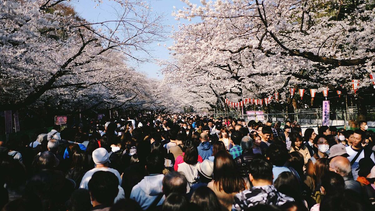 Japan hikes visitor fees amid tourism boom