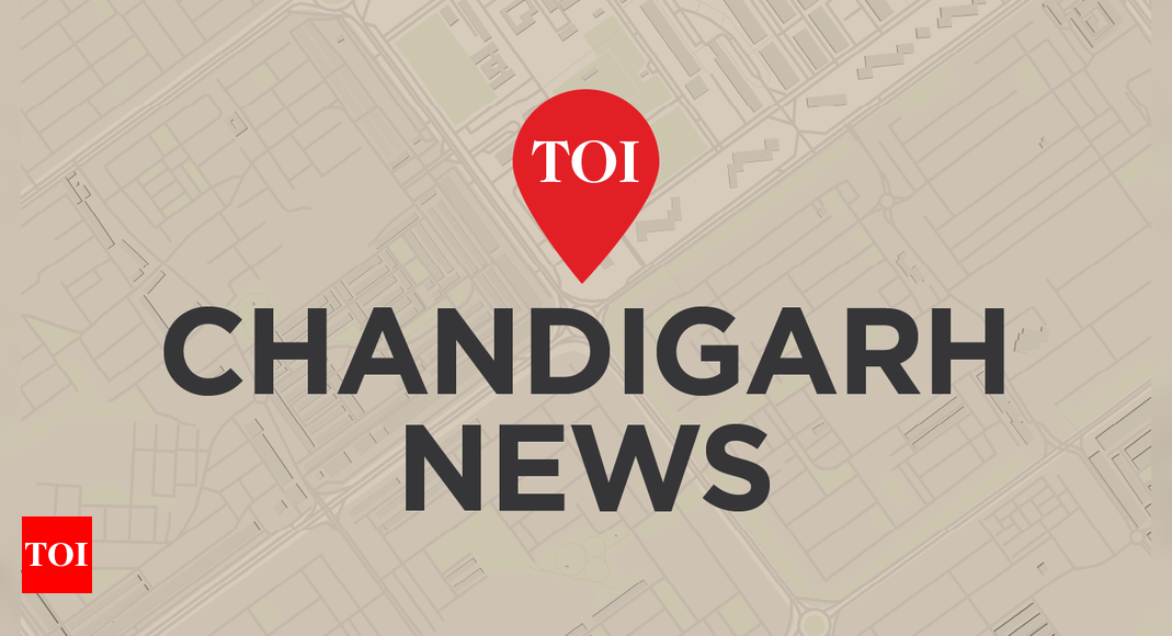 Consumer panel orders Air Canada, Lufthansa to refund passenger stranded in Vancouver | Chandigarh N...