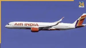 Air India Cabin Log Goes Viral After 'Cockroach Execution' Mid-Air News24 -