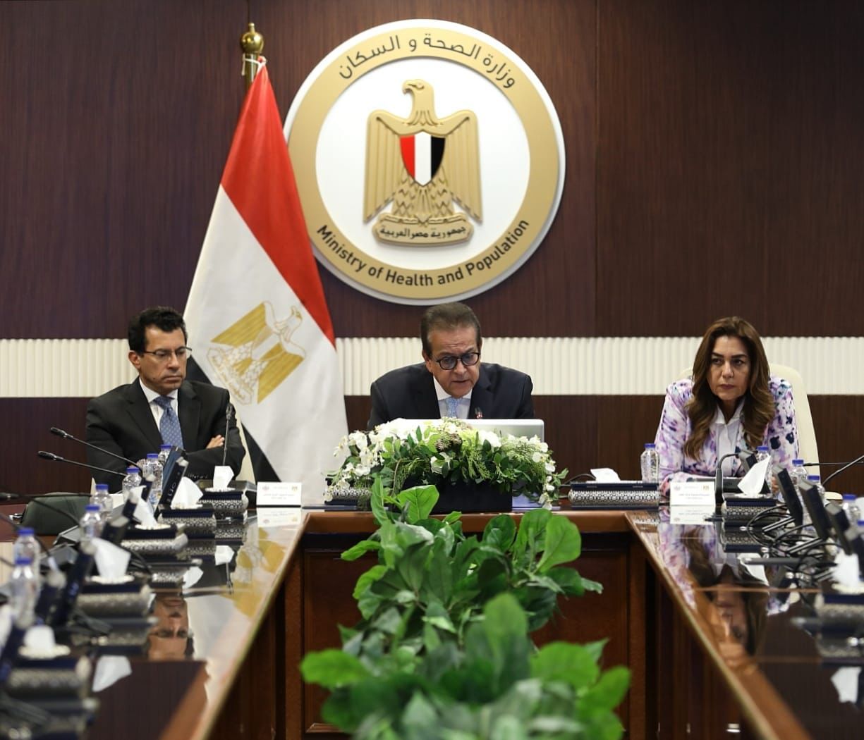 Egypt to launch national health tourism platform in push to become Global Medical Hub by 2030