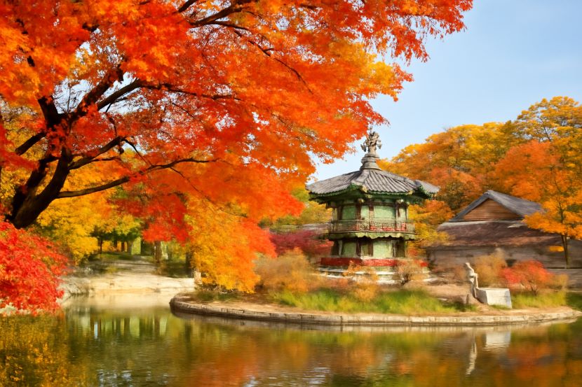 Explore the Best Autumn Spots in Seoul for Stunning Fall Foliage and Unforgettable Experiences