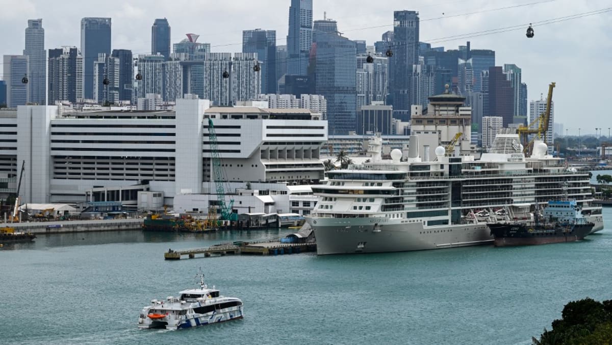 Singapore tour operators see up to 30% boost in business from cruise tie-ups