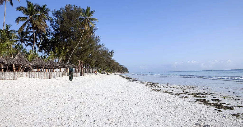 Seaweed farming in Zanzibar: Women at the heart of a blue revolution