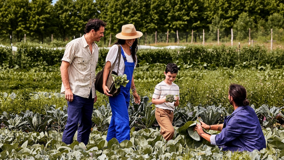 2026 global travel trend predictions: Farms, castles and film-inspired destinations