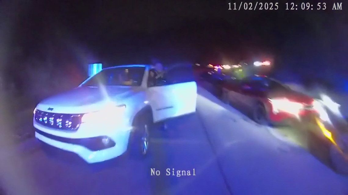 Police release body camera video after Bath Township Airbnb shooting injures 9