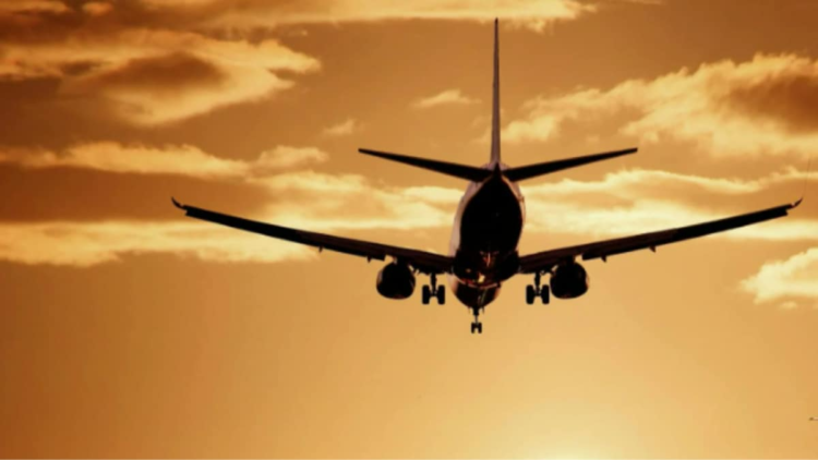 Sustainable Travel Gets Smarter With AACO’s SITA-Amadeus Alliance | Business News