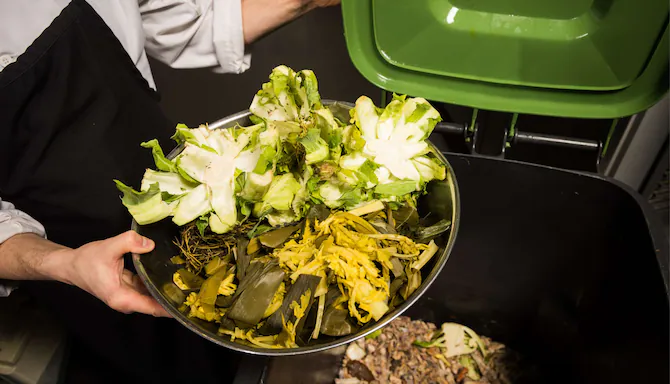 AI Scales, Smaller Plates: How Hotels Are Fighting Food Waste and Emissions