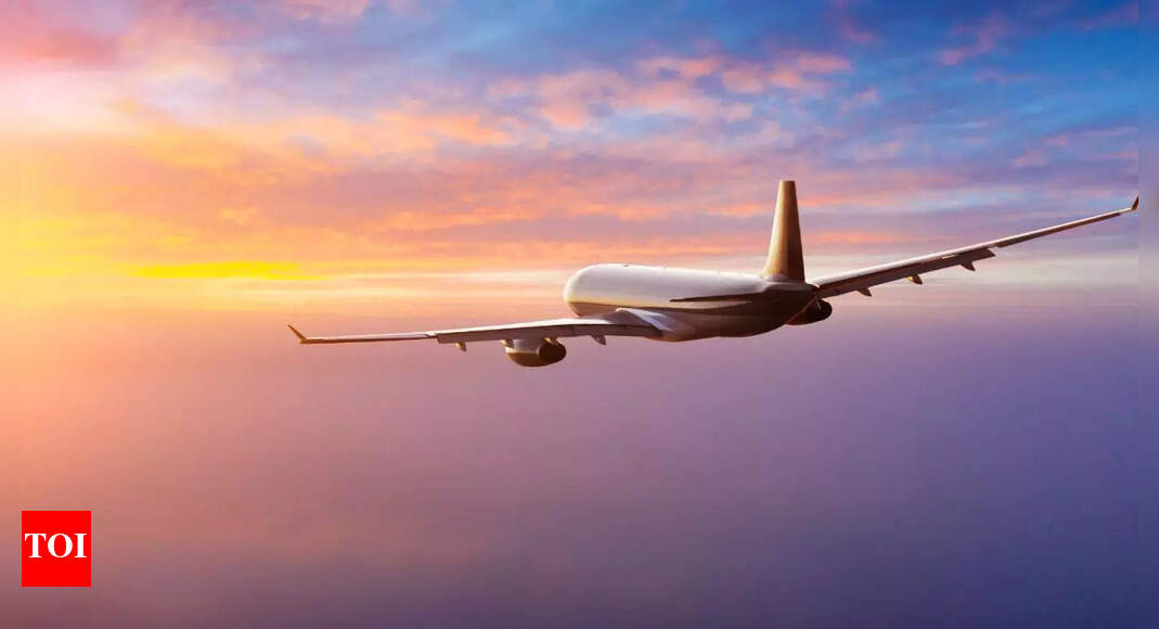 Air Canada: Flying economy? This airline is serving free beer and snacks to boost travel experience!...