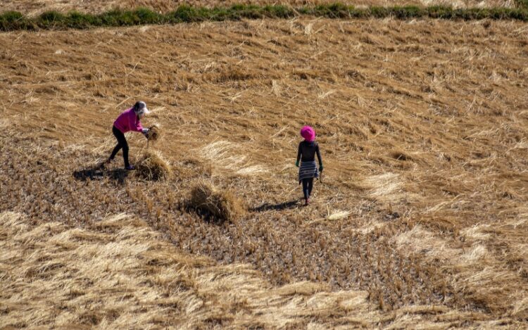 Overview of Bhutan’s Economic Stimulus Plan Implementation