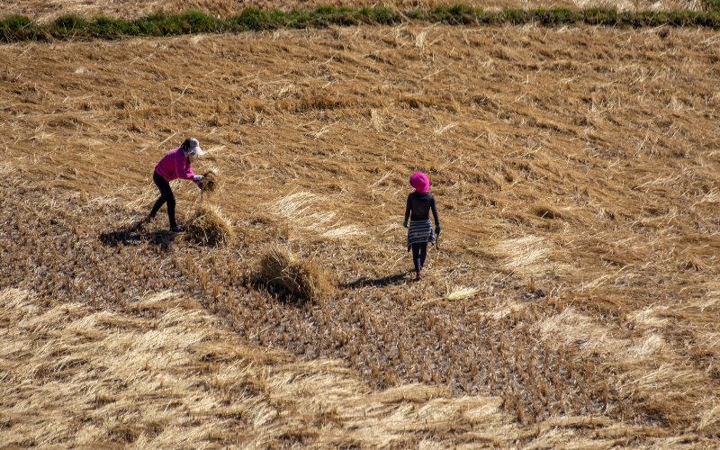 Overview of Bhutan’s Economic Stimulus Plan Implementation