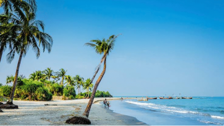 Ship owners refuse to sail citing business uncertainty