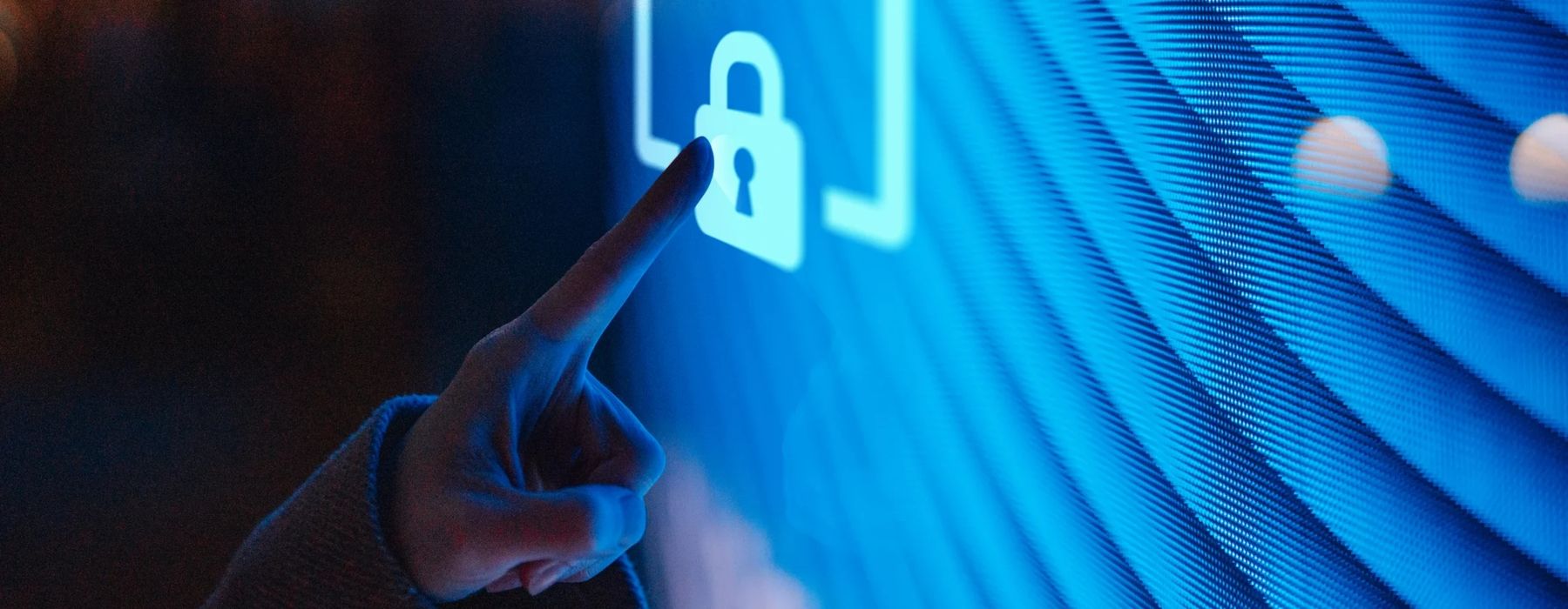 Digital borders need data. Lots of it. What does that mean for data privacy?