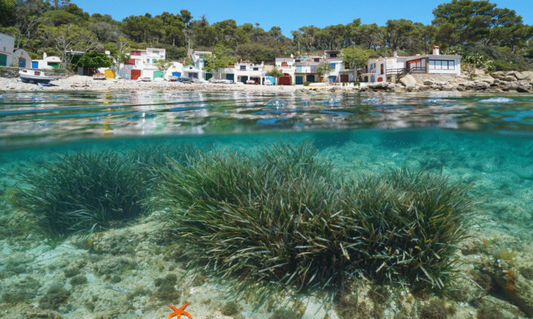 New IUCN report highlights urgent need for more sustainable blue tourism in the Mediterranean - News