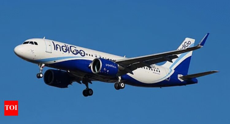 IndiGo Q2 results: Airline posts Rs 2,582 crore loss on forex hit; revenue up 9% YoY as cost pressur...