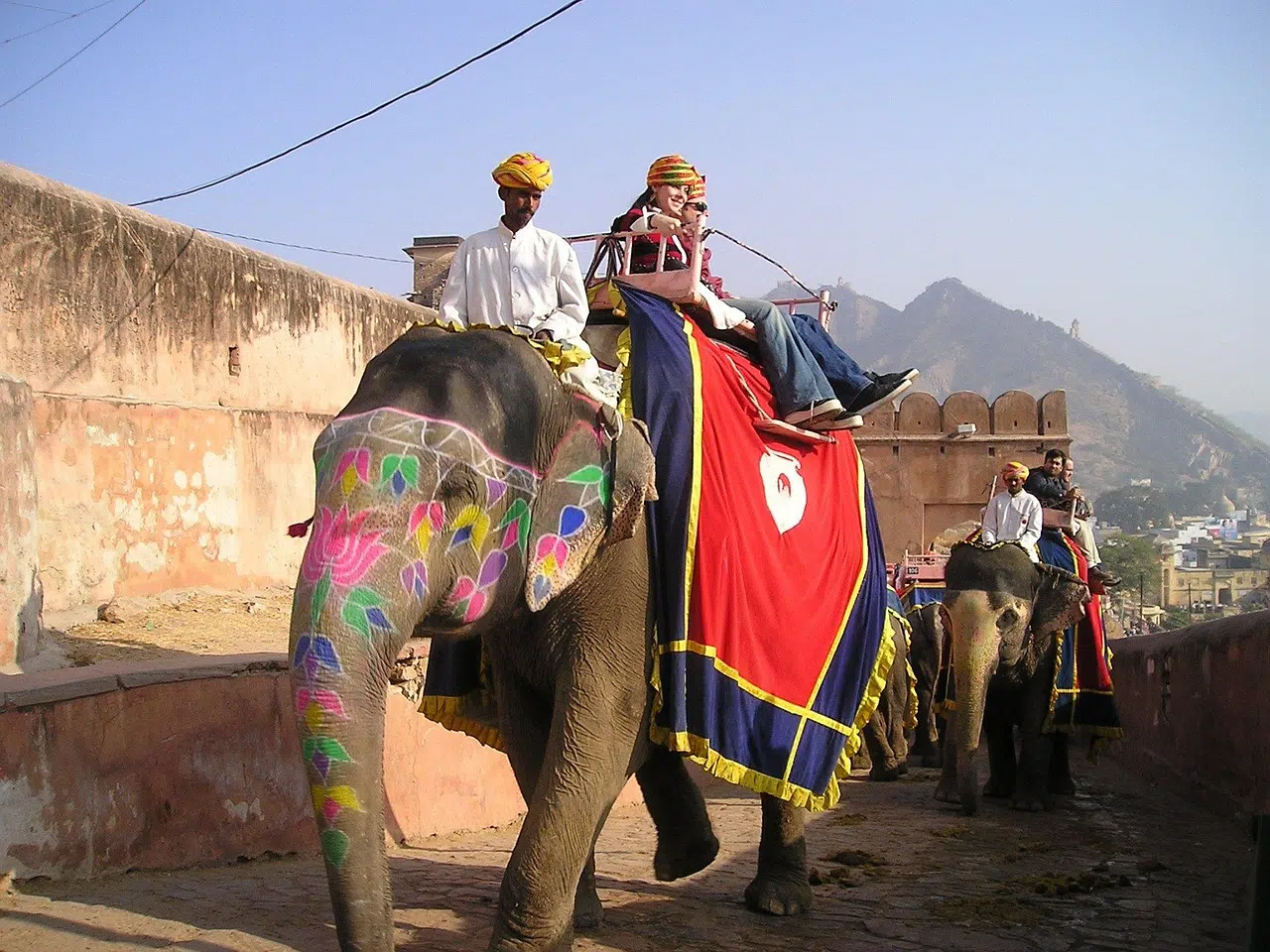 Elephant tourism in India: a tradition that hides pain, exploitation, and ecological challenges