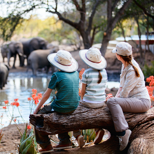 International Tourist Arrivals up 5% in the First Nine Months of 2025