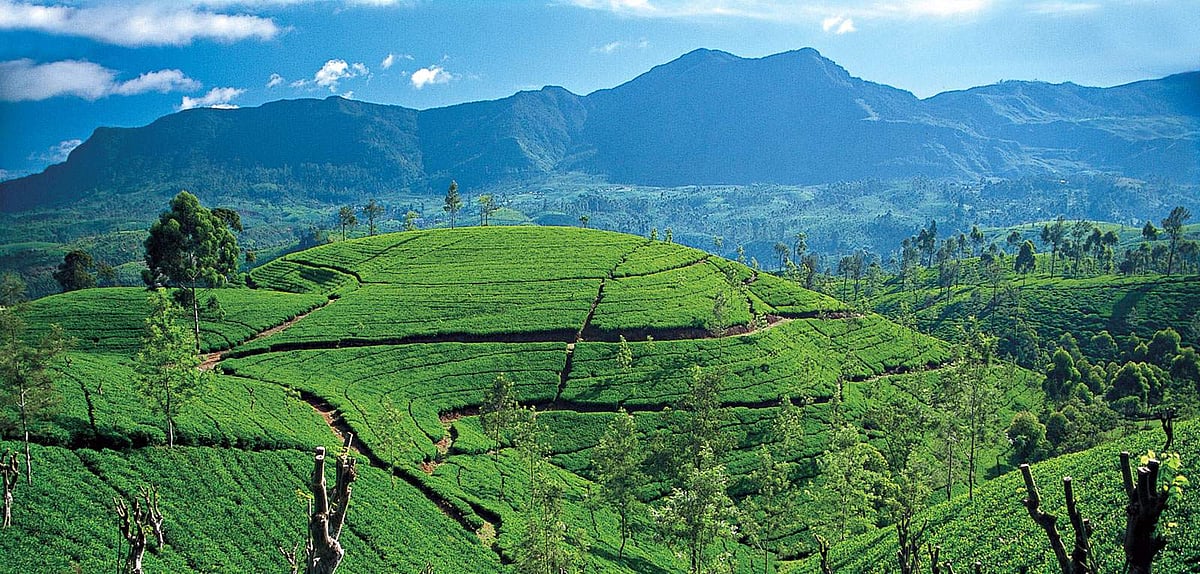 Not a November to remember for Kerala’s tourism industry