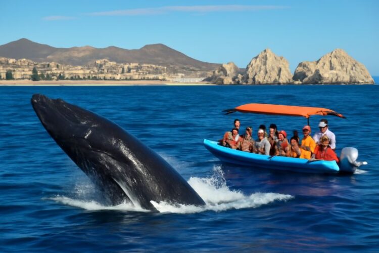 Los Cabos Expands Luxury Offerings And Attracts Wellness Travellers