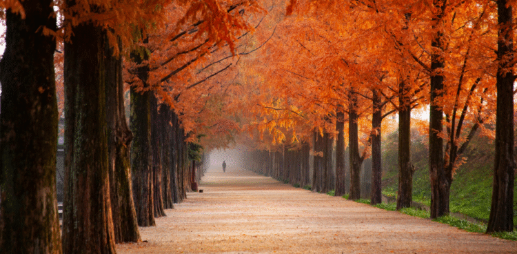 5 ways to turn seasonal demand into direct bookings