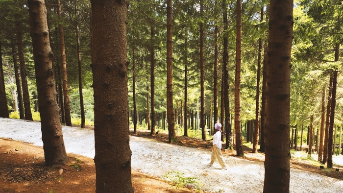 Mona Yongpyeong Natural Resources/Photo = Mona Yongpyeong