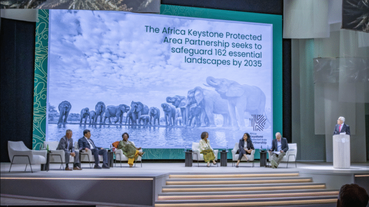 Mozambique eyes US$60 million for protected areas