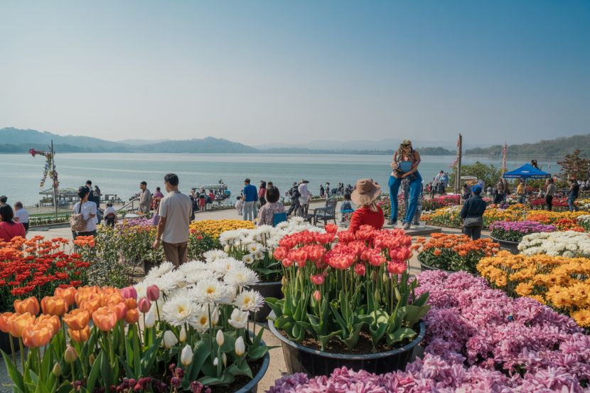 Explore myanmar&rsquo;s stunning pyinoolwin flower festival