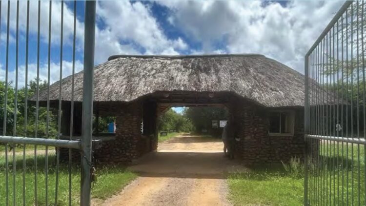 Study reveals collapse of SA’s provincial reserves