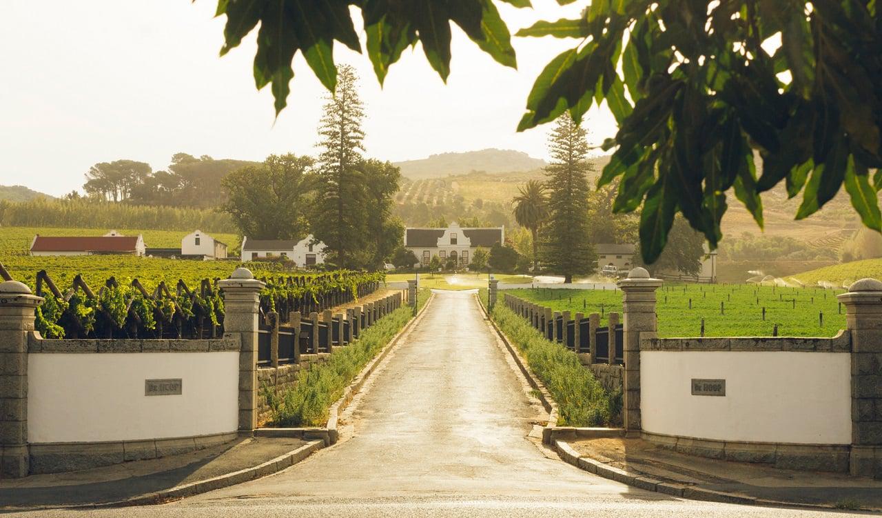 Six Cape Vineyards Ranked Among the World’s Best!