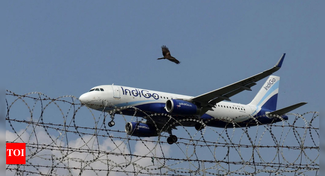 IndiGo Q2 loss widens to Rs 2,582 cr on weaker rupee