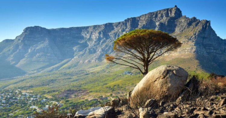 80% of domestic travellers gravitate towards Cape Town, reveals travel report