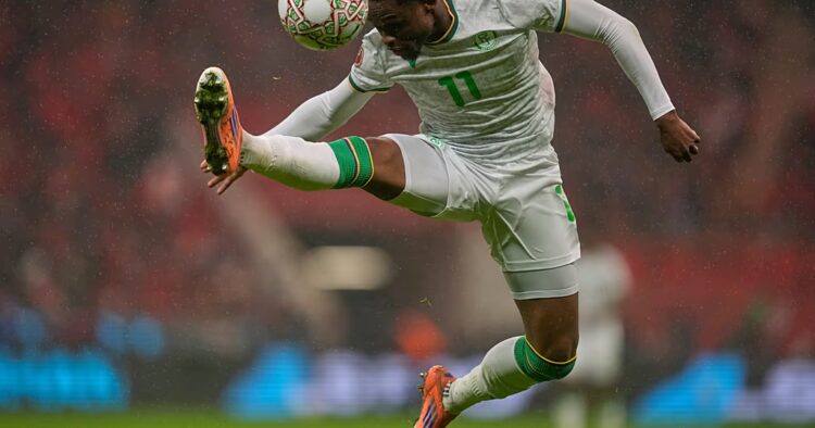 AFCON 2025: The coelacanth, Comoros' national symbol in football and beyond