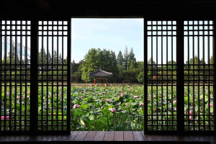 AI and experience-driven choices to redefine travel in Korea next year