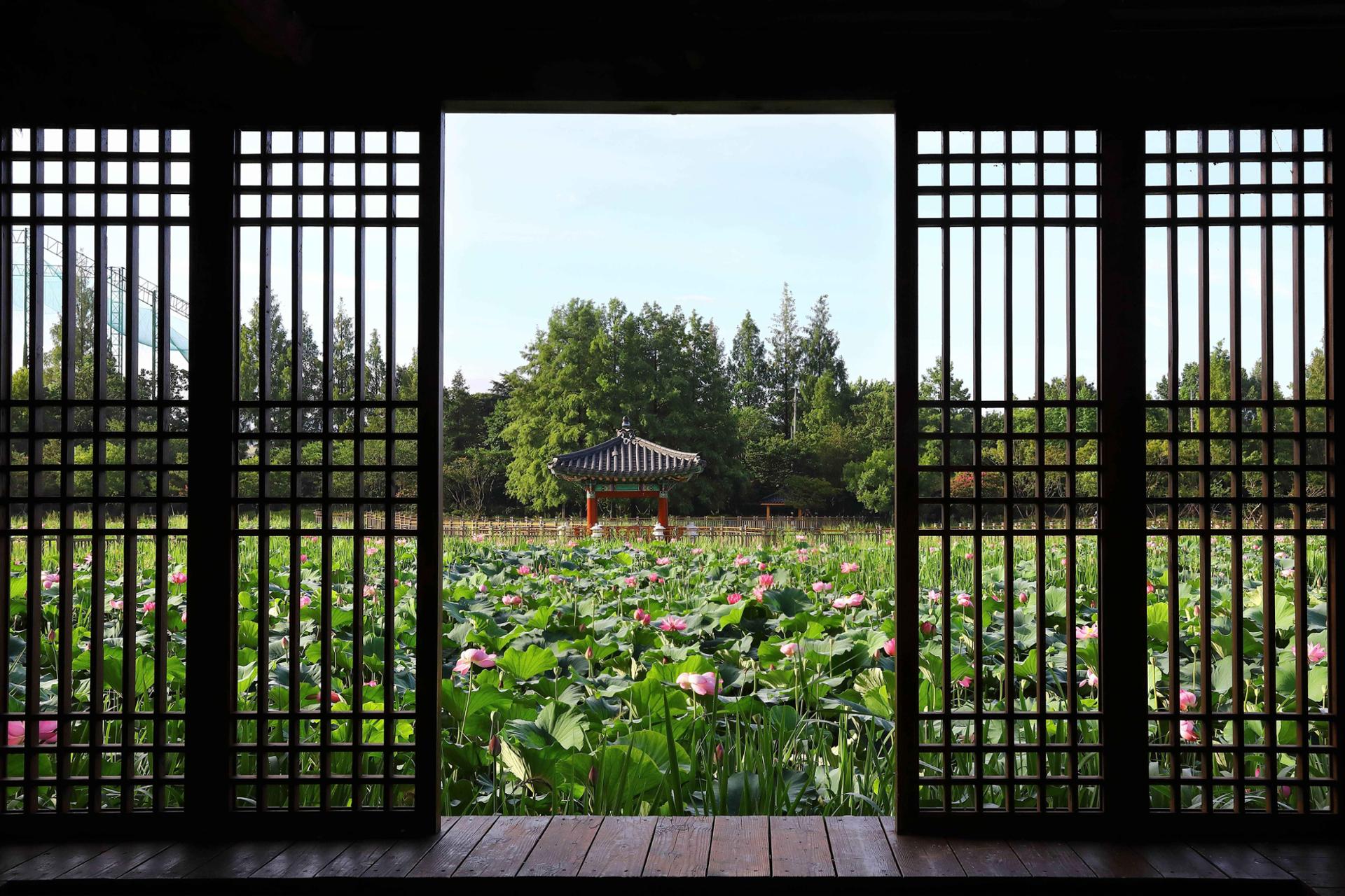 AI and experience-driven choices to redefine travel in Korea next year