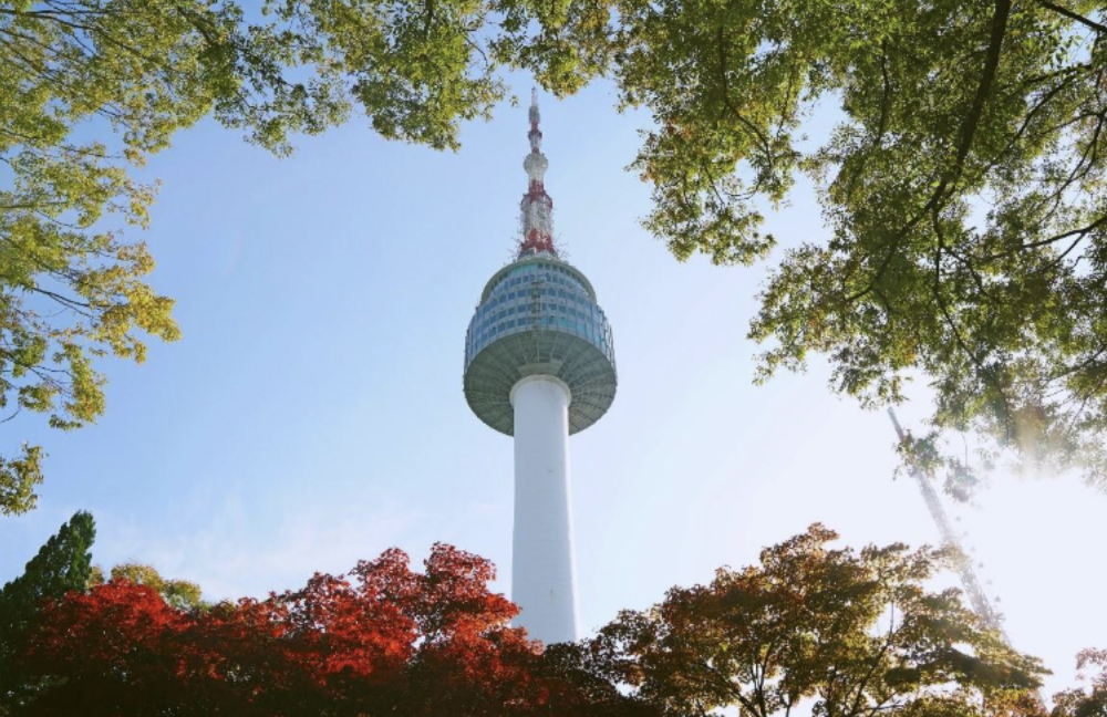 A&K launches DMC in South Korea