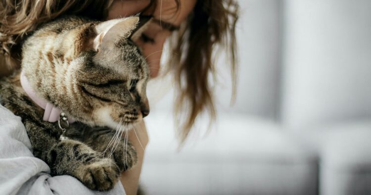 Pet project: Abu Dhabi to welcome cats and dogs at hotels and restaurants under updated tourism rule...