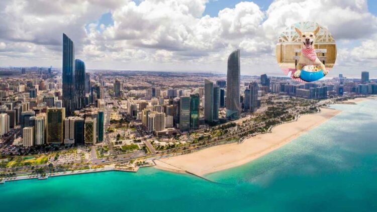 You Can Take Your Furry Friends For A Meal As Abu Dhabi Restaurants Now Welcome Pets