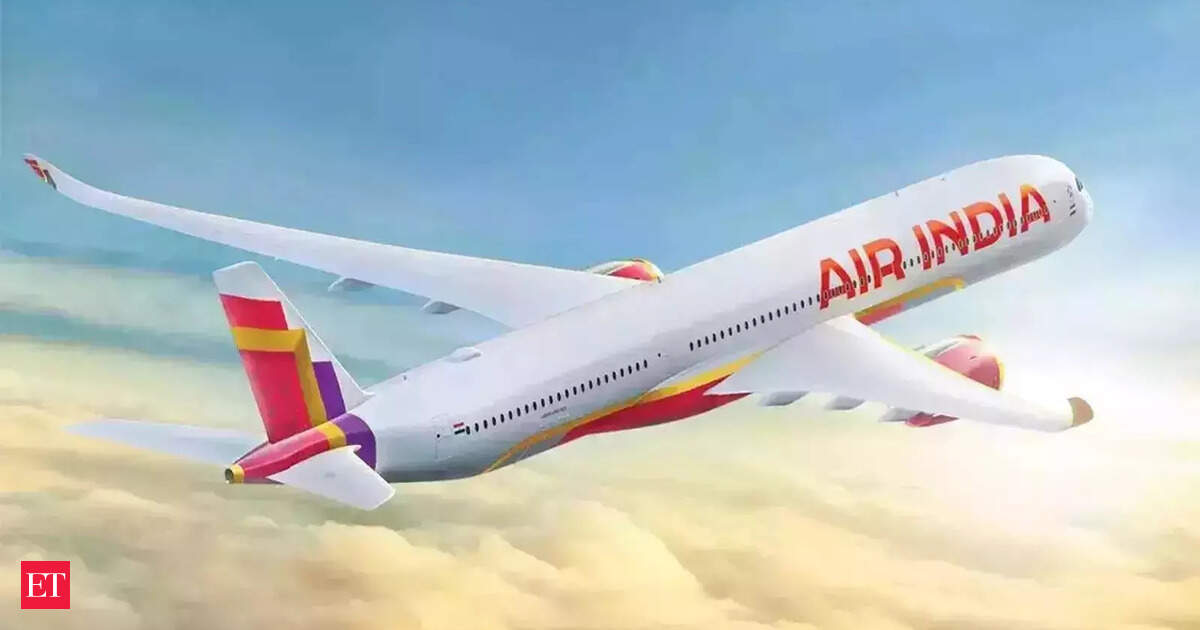 Air India warns of flight delays after third-party system outage hits airports