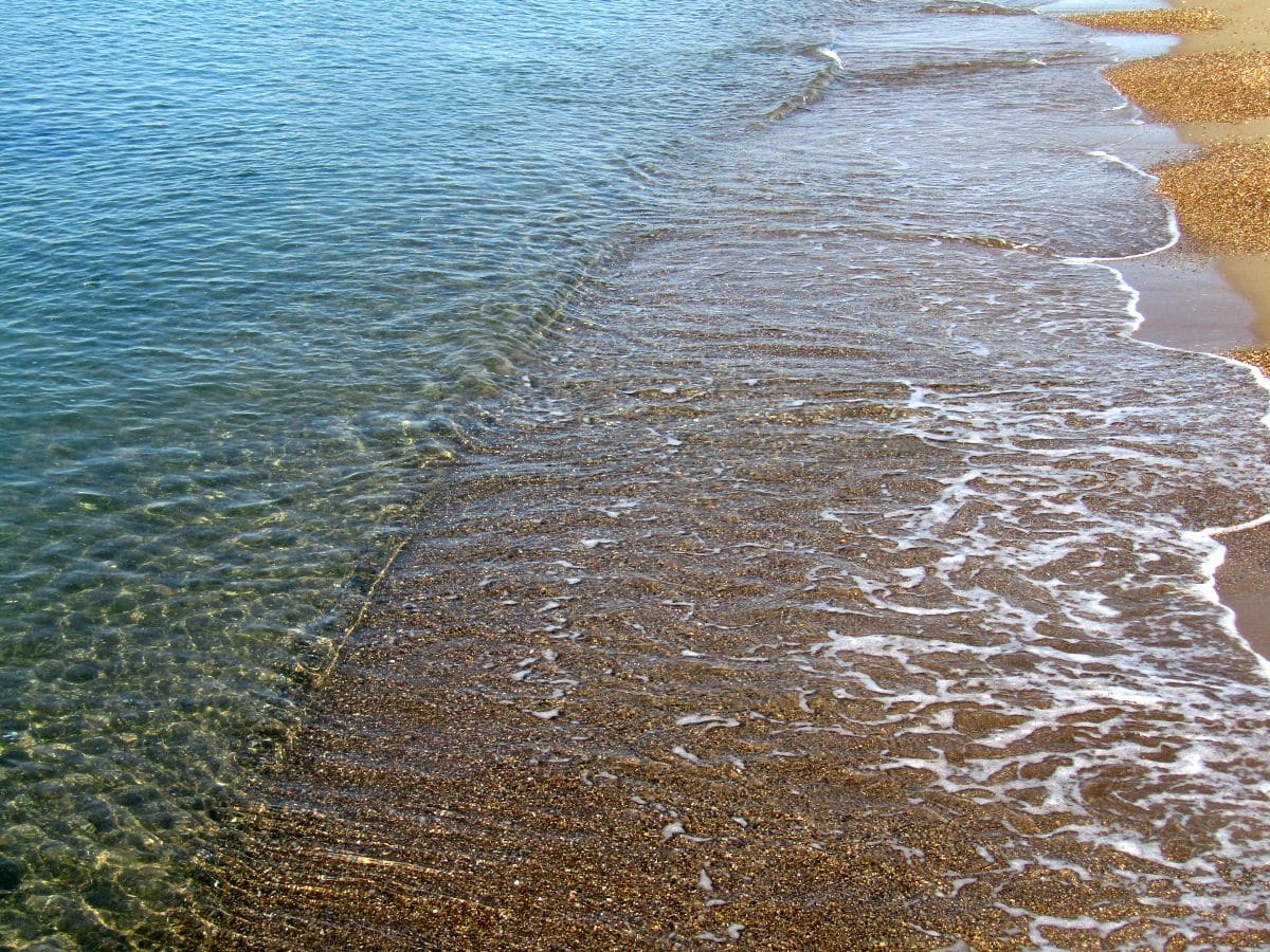 Amadeus predicts the defining trends for 2026 – Aviation.Direct