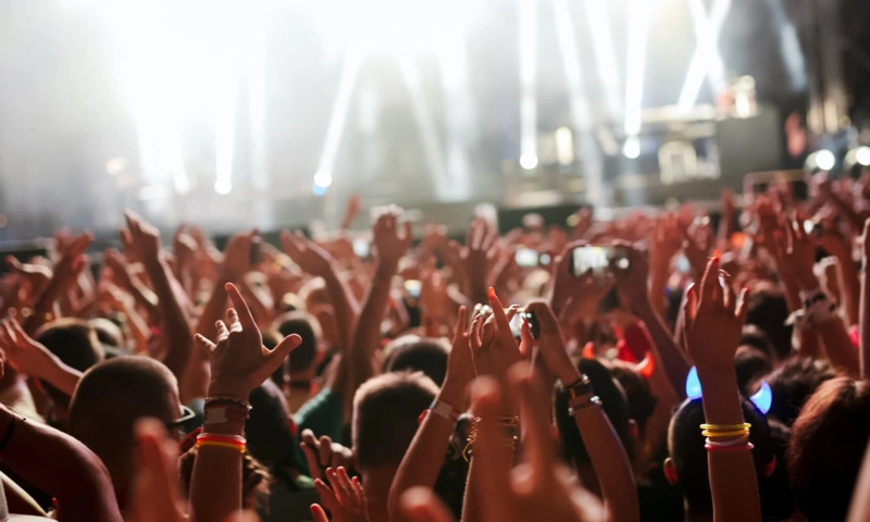 A crowd of people at a concert