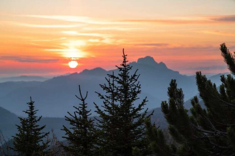 The sunrise festival in arunachal pradesh's dong valley promotes eco-tourism, local entrepreneurship, and sustainable tourism while showcasing the state's unique heritage.