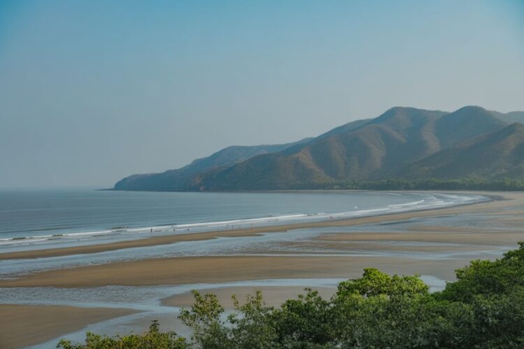 Avas Wellness In Alibaug Sets New Benchmark For Wellness-Driven Luxury Hospitality In Maharashtra