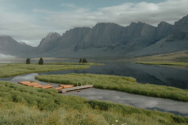 The points guy reveals top emerging destinations for 2026, catering to travelers seeking unique, affordable experiences.