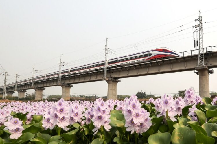China-Laos Railway boosts regional tourism, trade connectivity