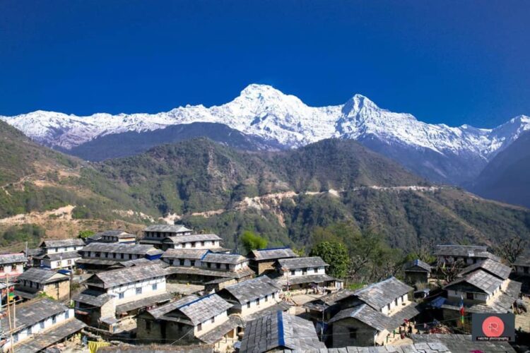 Climate change and pandemic hit tourism hard in Ghandruk – Nature Khabar