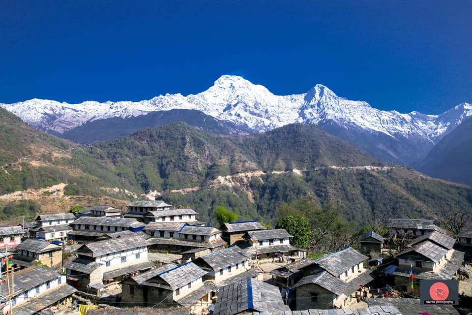 Climate change and pandemic hit tourism hard in Ghandruk – Nature Khabar