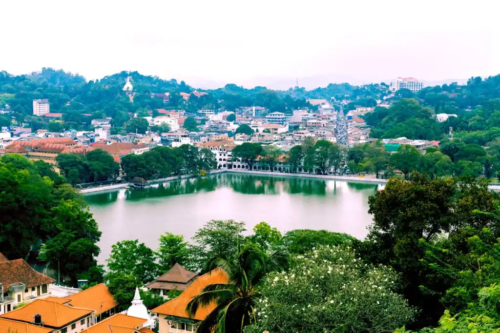 Cyclone Ditwah: Sri Lanka Eases Visa Rules and Urges Airlines for Flexibility