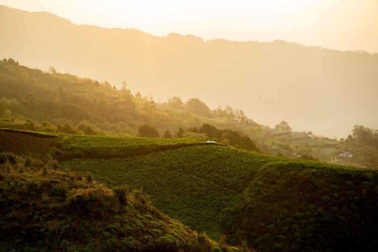 Building a dream in Dhankuta