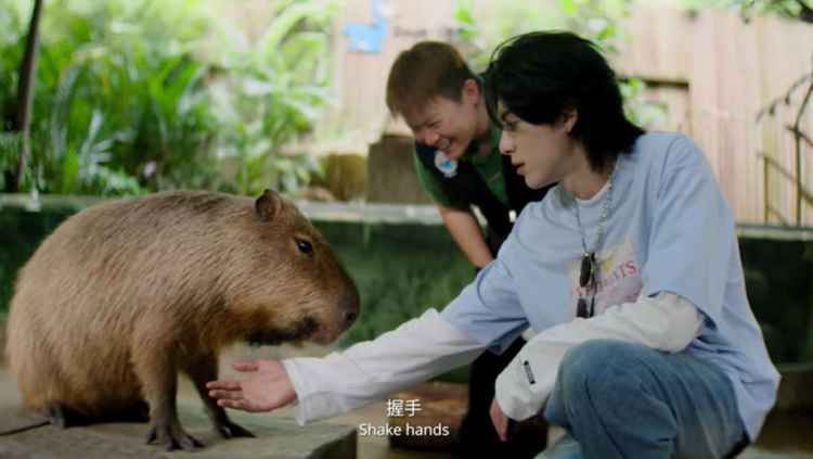 Dylan Wang fronts STB video series showcasing Singapore’s culture, food and wildlife
