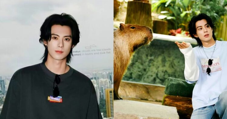 'A city that breathes': Dylan Wang goes on adventure in Singapore, promotes tourism, Entertainment N...