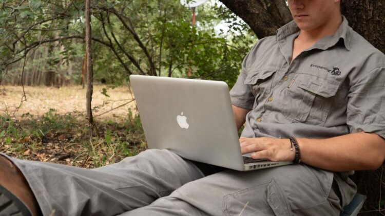 EcoTraining launches online bridging course